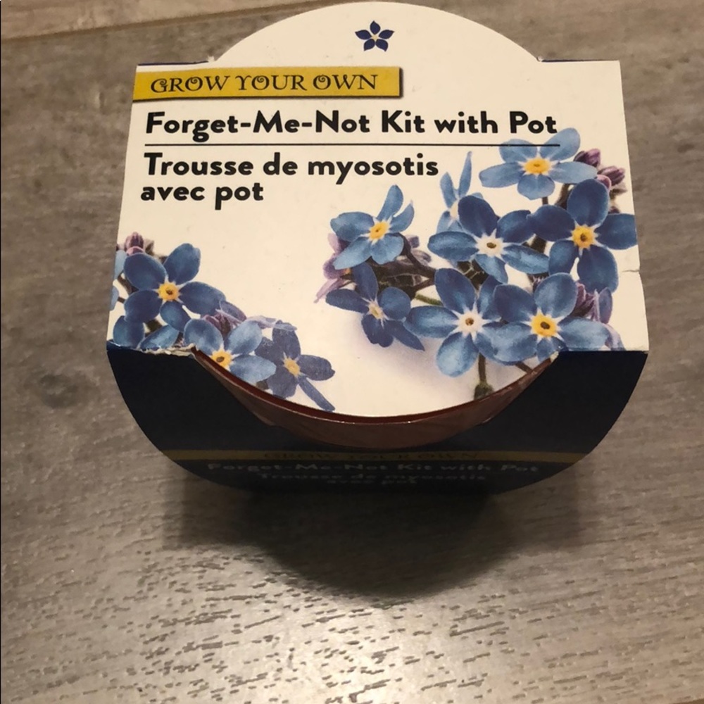 Forget me not kit with pot